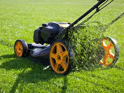 Lawn Care Services, Harahan, LA