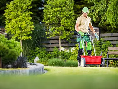 Lawn Care Services, New Orleans, LA