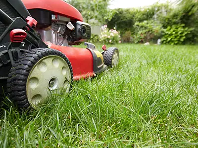 Lawn Maintenance, New Orleans, LA