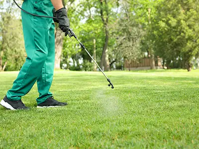 Lawn Spraying, New Orleans, LA