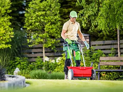 Lawn Care, Kenner, LA